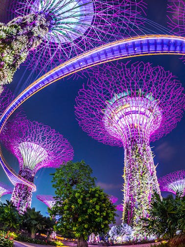 Tour to Gardens by the Bay